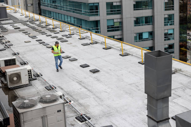 Best Flat Roofing  in Belcourt, ND