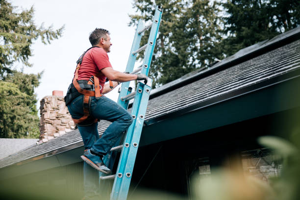 Best Roof Ventilation Installation  in Belcourt, ND
